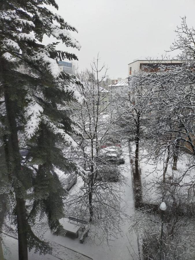 Cozy Family Apartments Brasov Bagian luar foto